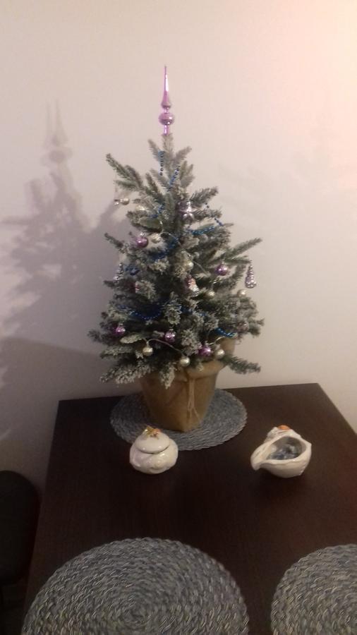 Karmazynowy Apartament Nad Morzem Apartment Kolobrzeg Bagian luar foto